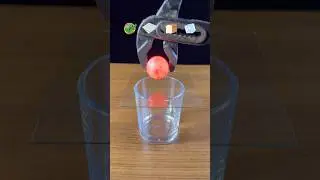 Which Item is Most Satisfying?#satisfying#foryou#experiment