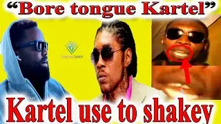 После этого инцидента компания KONSHENS разоблачила VYBZ KARTEL как неуклюжего парня.