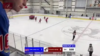 Jr Coyotes 10U SD versus SJHA Jr Mets 10U