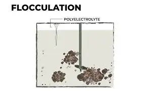 Alcanena Wastewater Treatment Plant | Guided Visit 2024