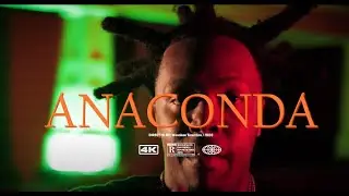 Hil33   Anaconda 2022 Jay Shooter Visuals 2022