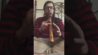 Flute Riff #10 - #flute #beginner