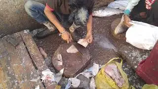 Karachi fisheries Fish cutting 2019 (Pakistan)
