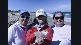 Mary's Fish