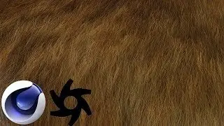 [C4D] Octane Fur Simulation [Tutorial]