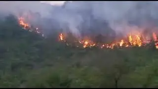 Fire in Jangle, Fire in Murree Mountains, #murree #murreeupdates #murreeweather
