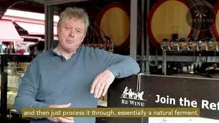 ReWine - What is Minimal Intervention wine