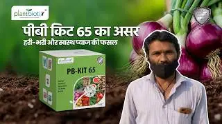 PB KIT 65 results in Onion Crop