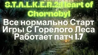 Все Нормально Старт Игры через Горелый Лес Работает Патч 1.7 S.T.A.L.K.E.R.2:Heart of Chornobyl