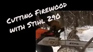 Cutting firewood with my Stihl chainsaw