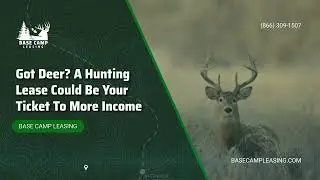 Got Deer? A Hunting Lease Could Be Your Ticket to More Income | Base Camp Leasing