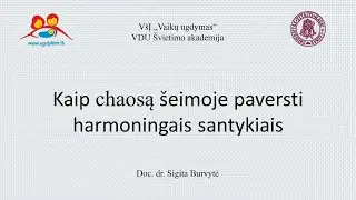 Kaip chaosą šeimoje paversti harmoningais santykiais