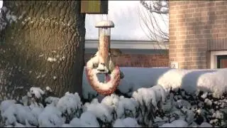 Soest, winter 2012