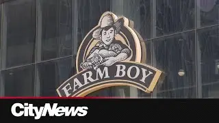 'It's their store now': Midtown Farm Boy employees say there's a mouse infestation