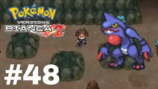 Pok&eacute;mon Versione Bianca 2 (Episodio 48 - La via Vittoria)