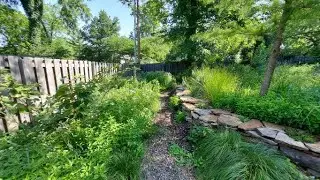 Missouri Watershed Champions: Native Urban Landscaping in the Deer Creek Watershed