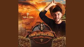 Vaqueiro Apaixonado / Len&ccedil;o / Vaqueiro Nordestino