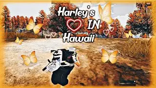 | Harley's in Hawaii | BGMI Android Edit