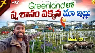 Musk Ox Encounter in Greenland 🦬 | Hike to the Russell Glacier | Stories of Akhil | తెలుగు లో
