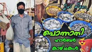 പിടക്കുന്ന മീൻ പിടിക്കുന്നത് കണ്ടിട്ടുണ്ടോ🤩  | Ponnani harbour| Fishing harbour