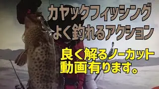 カヤックフィッシング　オオモンハタ釣り　ファンジグふわー