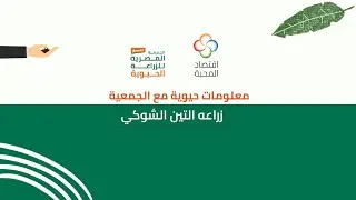 زراعه التين الشوكي