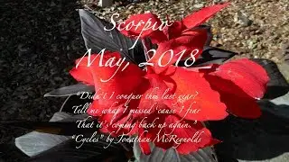 SCORPIO May 2018 Tarot Horoscope CALM AFTER STORM OF OBSESSION AND HEARTBREAK