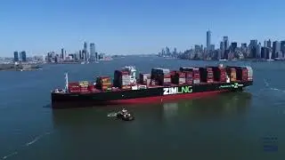 Почему компания Zim Integrated Shipping Services (акции ZIM) производит фурор?