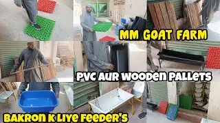 MM Goat Farm | PVC Pallets | Good Quality Feeders | Wooden Pallets in Hyderabad Telangana India 