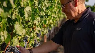 Digging Deeper | September 2024: The 2024 Vintage, 9 Months in the Making