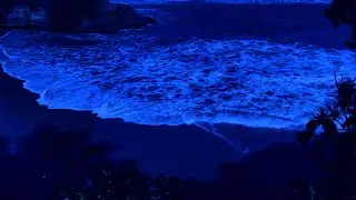 After 3 Minutes You Will Fall Into Deep Sleep • Deep Healing Music for Anxiety and Depression Relief