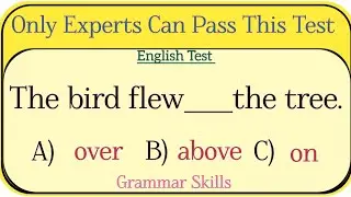Mixed English Grammar Test ✨ Only Experts Can Pass This Test 