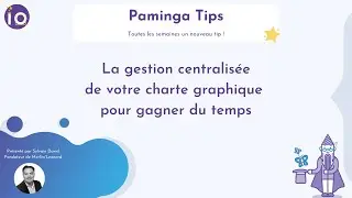 Paminga Tips #04 - La gestion centralis&eacute;e de votre charte graphique