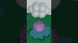 Rainy Day by SACO world TV  🌧️ ☂️ 🌈