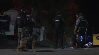 Man shot with an arrow, suspect in custody in Old Forge, police say