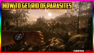 Green Hell How To Get Rid Of Parasites