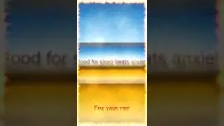 RED SANDER TEA MAJIME