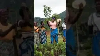 How to End Africa&rsquo;s Lingering Hunger Crisis #shorts #foodimportation #economicrebound