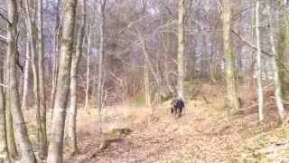 Bjerre Skov 2 28 03 2015