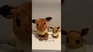 #pokemon #pokemoncommunity #eevee #eeveelution #plushies #buildabear #pokemonplush #forsale #ebay