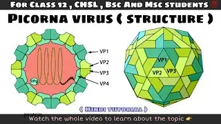 Structure of picorna virus ll biology ll