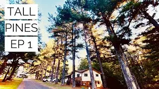 TALL PINES: HOUSE FLIP // episode 1 // quick rundown