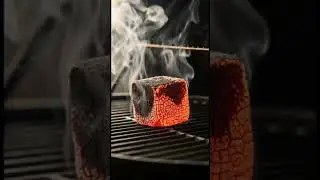 COCO BURNZ 25mm Coconut Charcoal Cubes &ndash; Pure Heat. Premium Quality. No Smoke 🔥 #cocoburnz #shell