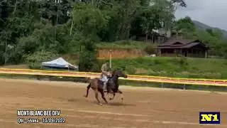 Mont Blanc Bee OFV - &eacute;gua quarto de milha de tr&ecirc;s tambores a venda