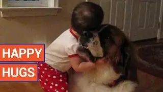 Happy Hugs Video Compilation 2016