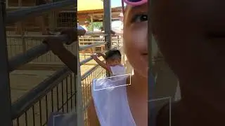 the GOAT of the OC fair #fair #animals #summer #fyp #kids #oc #ocfamily