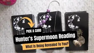 Hunter's Supermoon Reading | What Is Being Revealed To You? ✨ October 2025