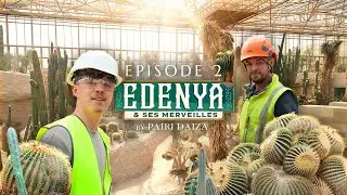 🌴 Edenya & ses merveilles : &Eacute;pisode 2 - Les cactus 🌵