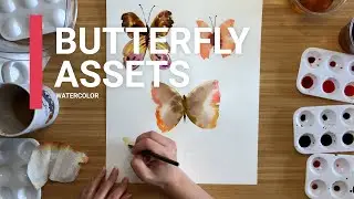 Butterfly Assets - Watercolor Timelapse 006