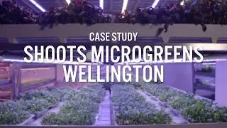 Vertical farm saves cost and emissions with LEDs